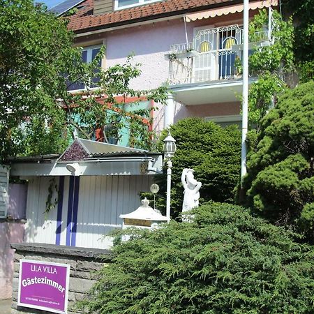Lila Villa Schwenningen Філлінген-Швеннінген Екстер'єр фото
